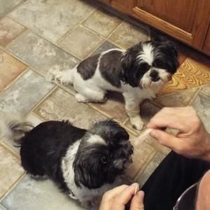 Meet your Posher, Tammy